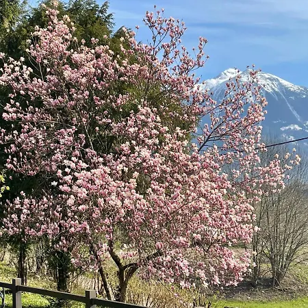 Ami's House Castle View *