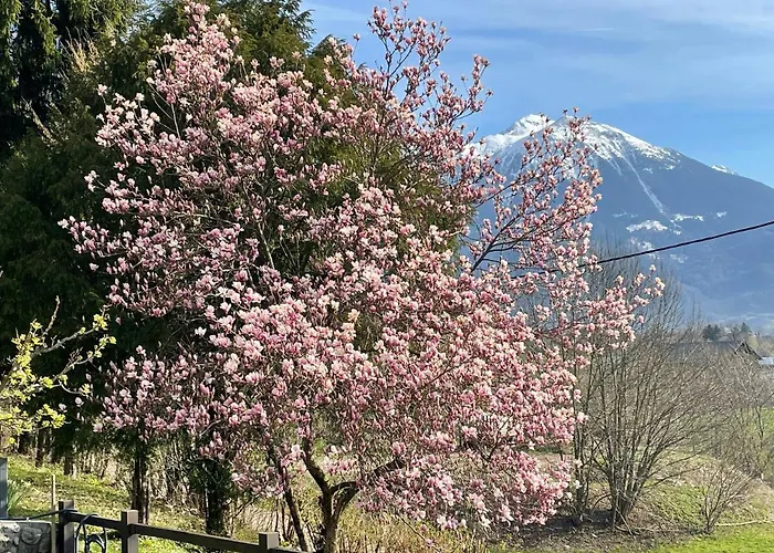 Ami's House Castle View *